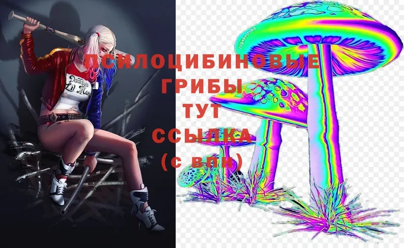 Псилоцибиновые грибы Magic Shrooms  Тавда 